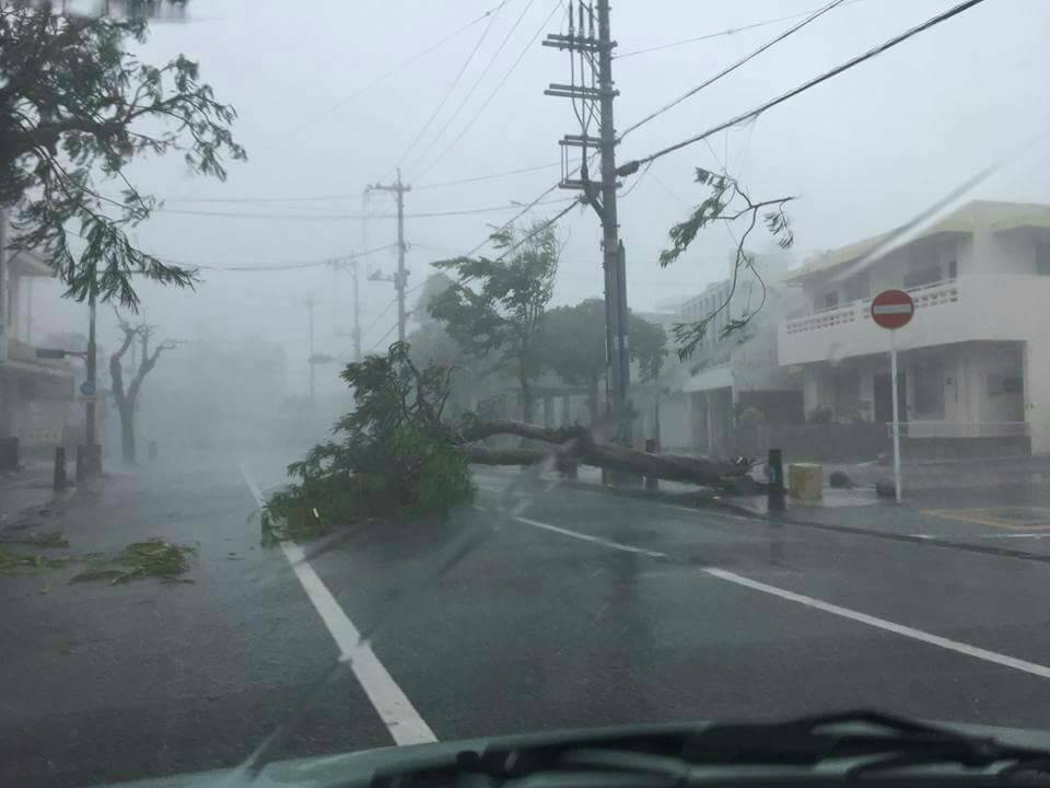 宮古島被害状況
